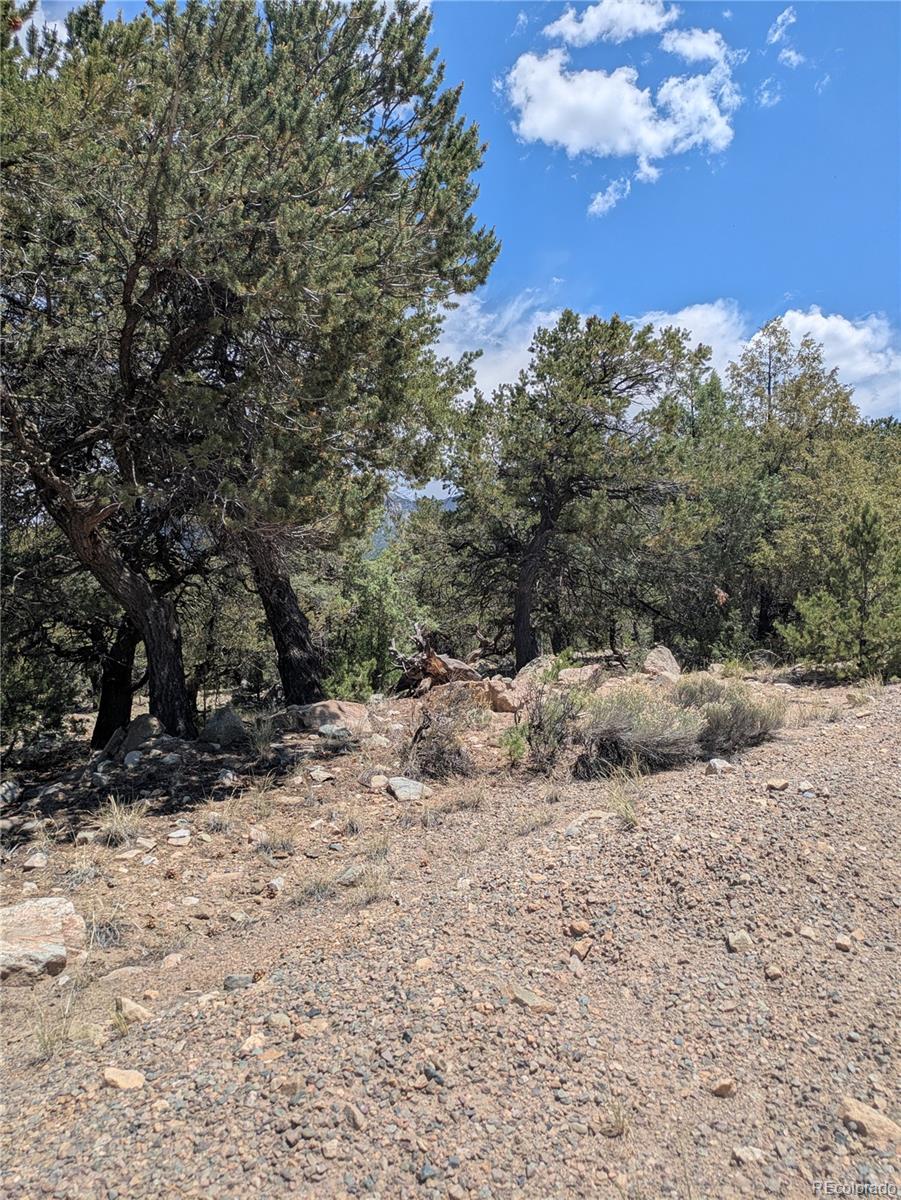 1799 Lone Pine Way Crestone CO 81131
