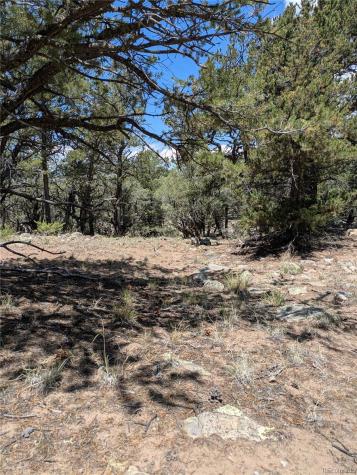 1799 Lone Pine Way Crestone CO 81131