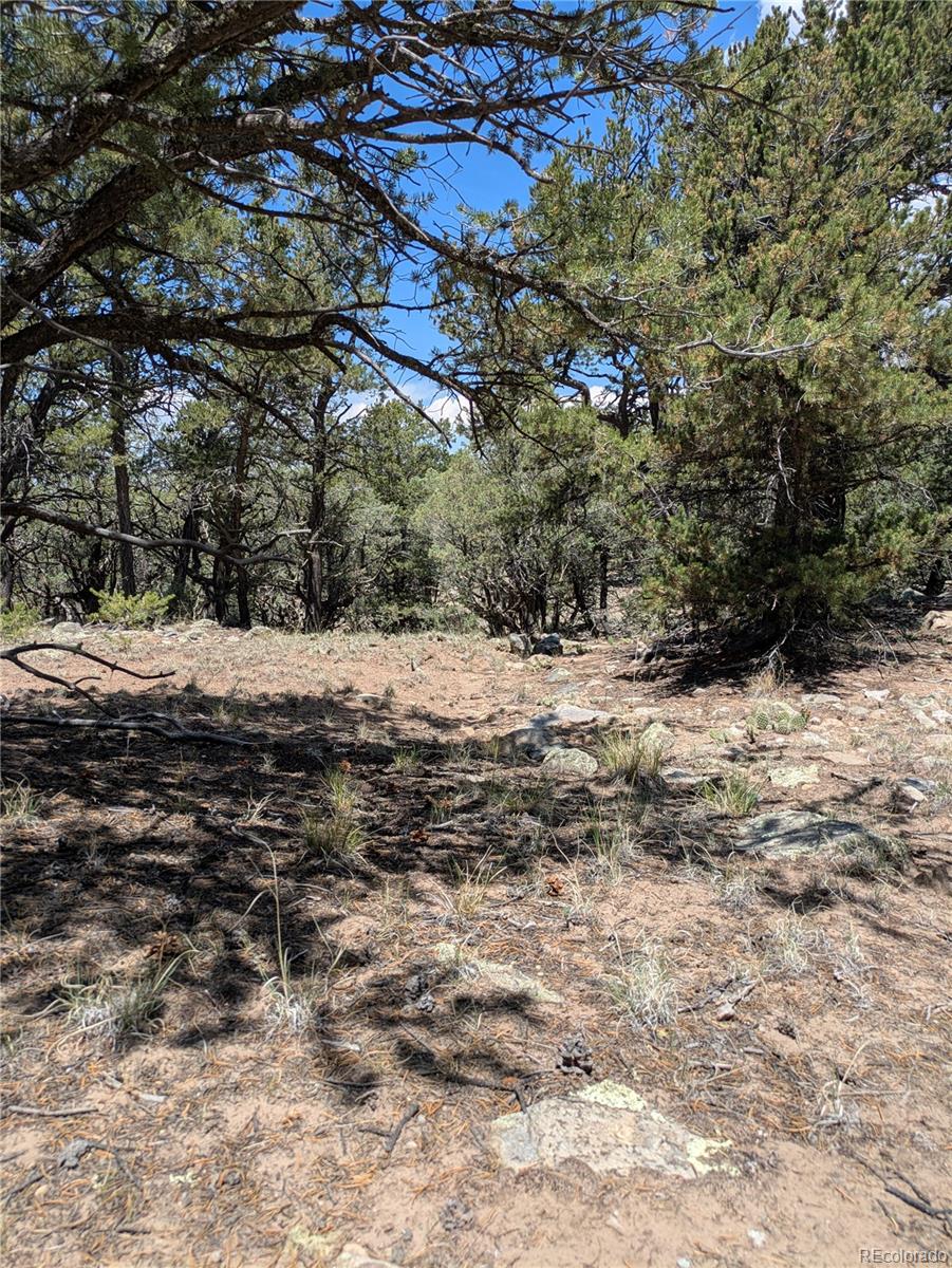 1799 Lone Pine Way Crestone CO 81131