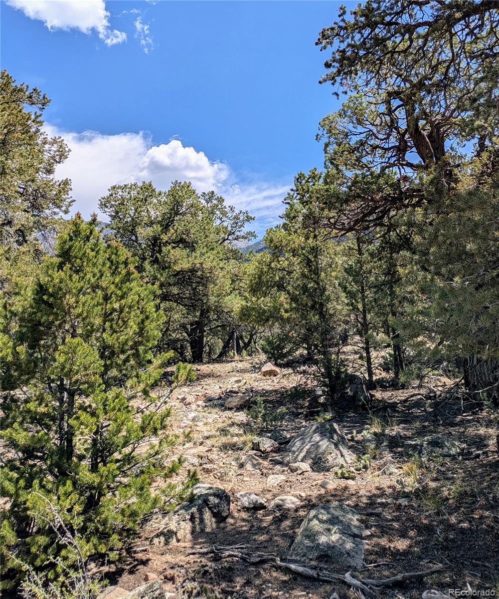 1799 Lone Pine Way Crestone CO 81131