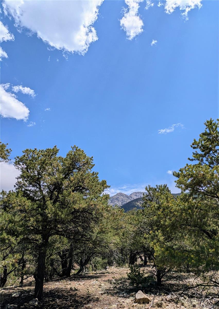 1799 Lone Pine Way Crestone CO 81131