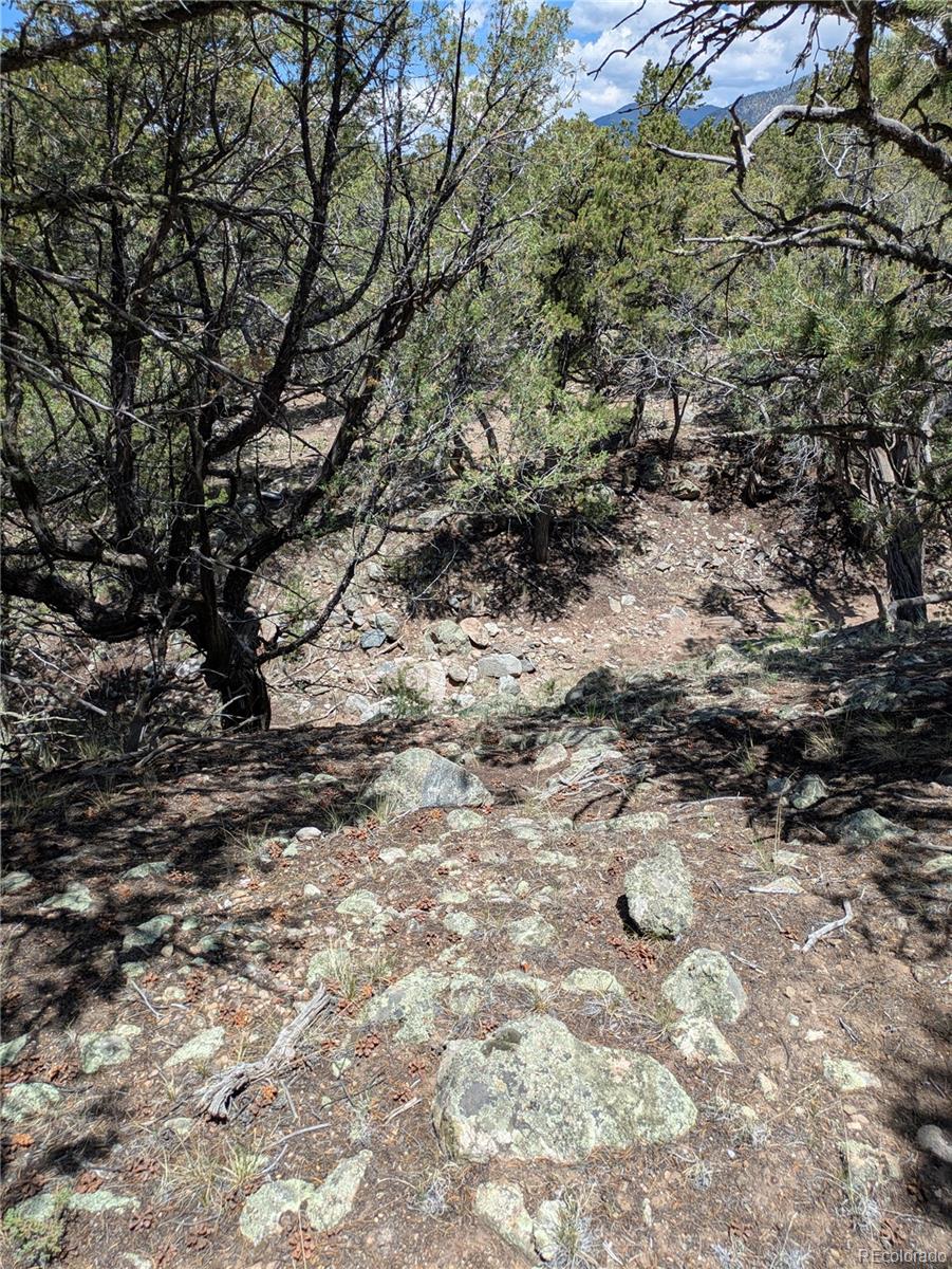 1799 Lone Pine Way Crestone CO 81131
