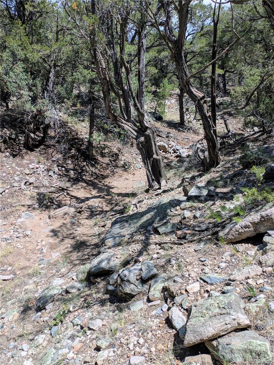 1799 Lone Pine Way Crestone CO 81131