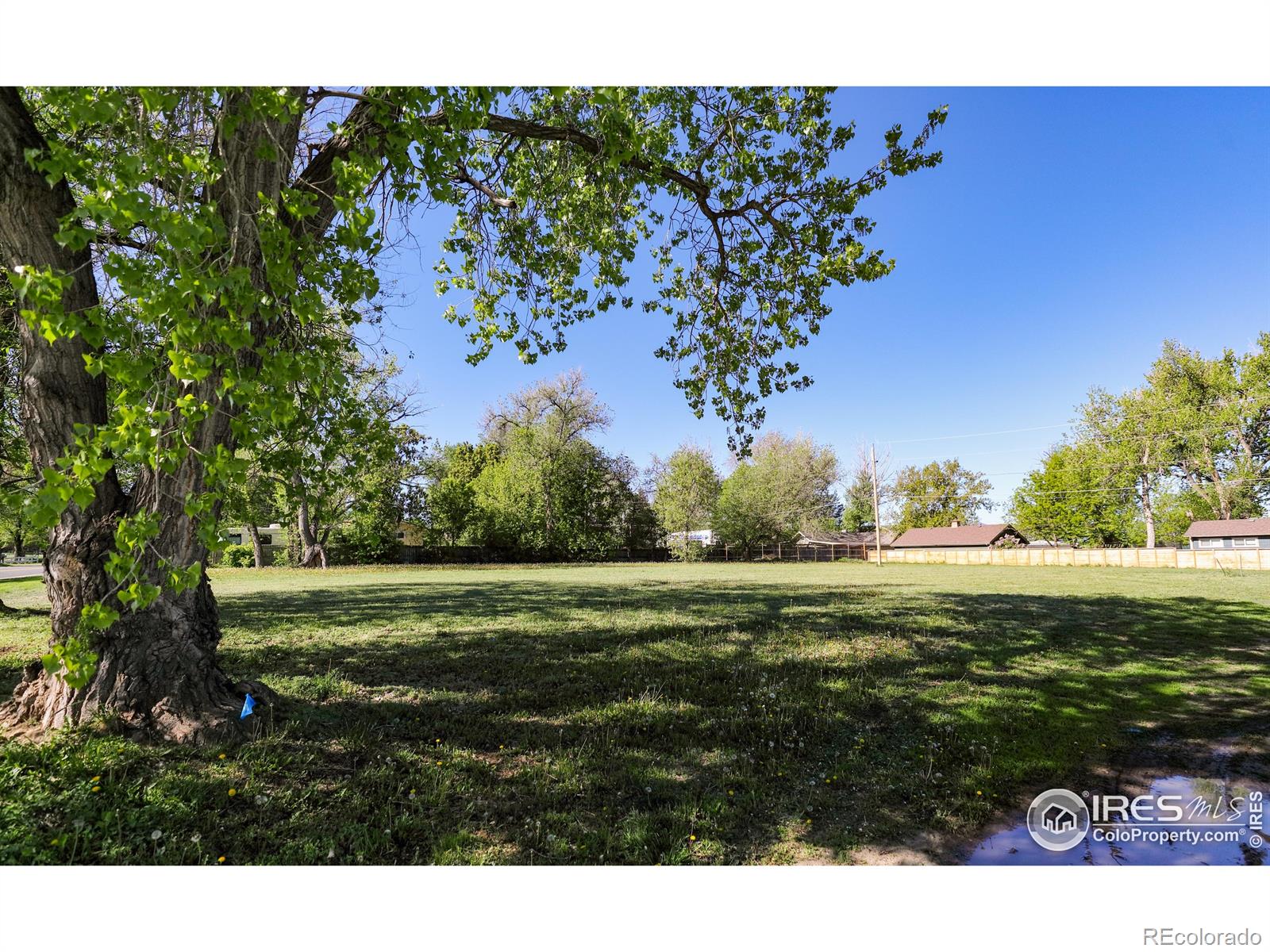 11880 Juniper Street Lafayette CO 80026