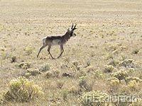 00 Downey Road Hartsel CO 80449