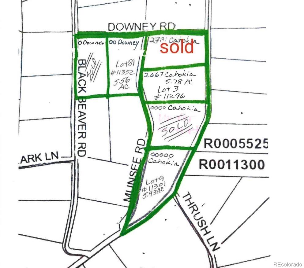 00 Downey Road Hartsel CO 80449