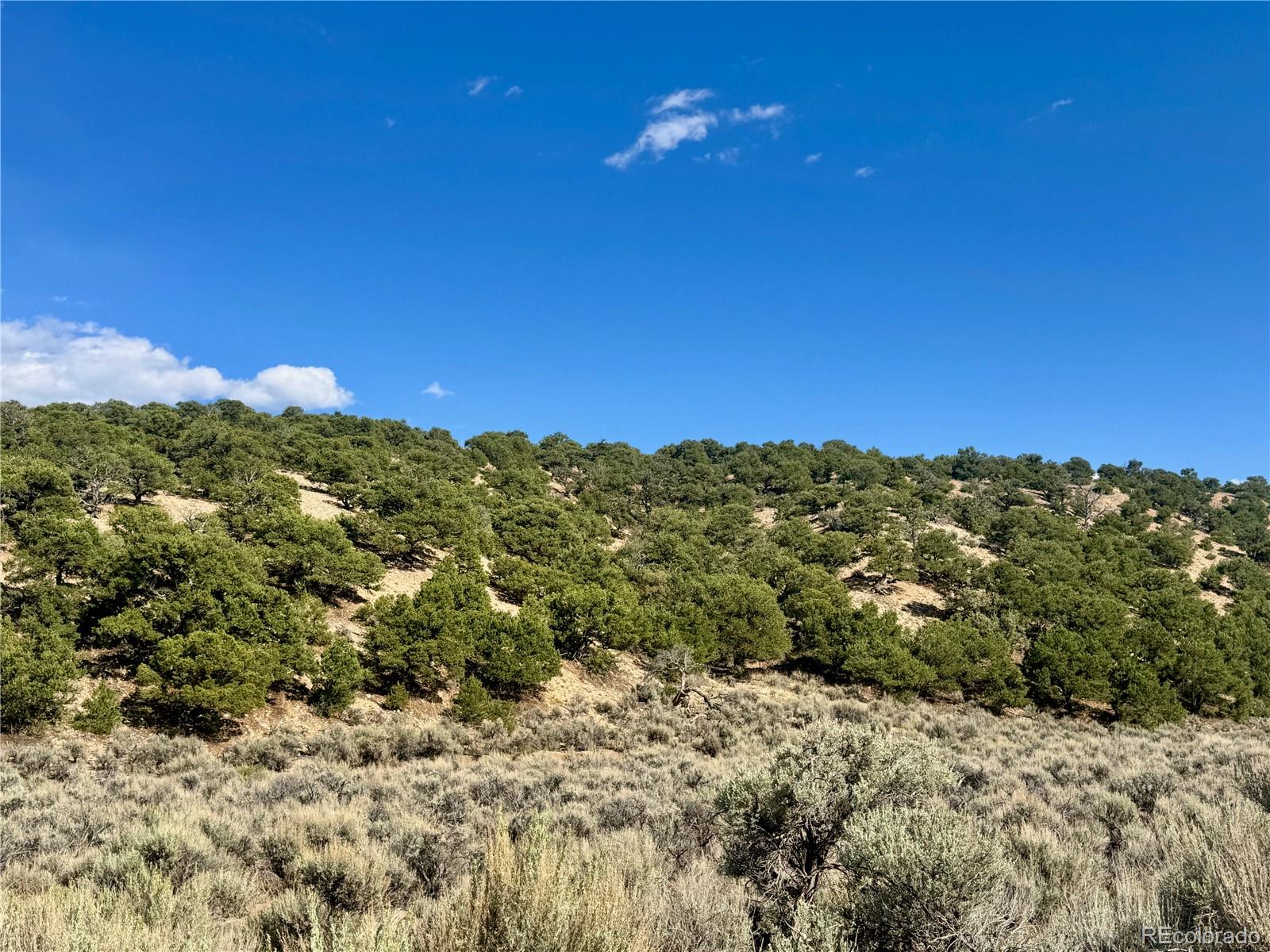 Lot 3817 Fontaine Road Fort Garland CO 81133
