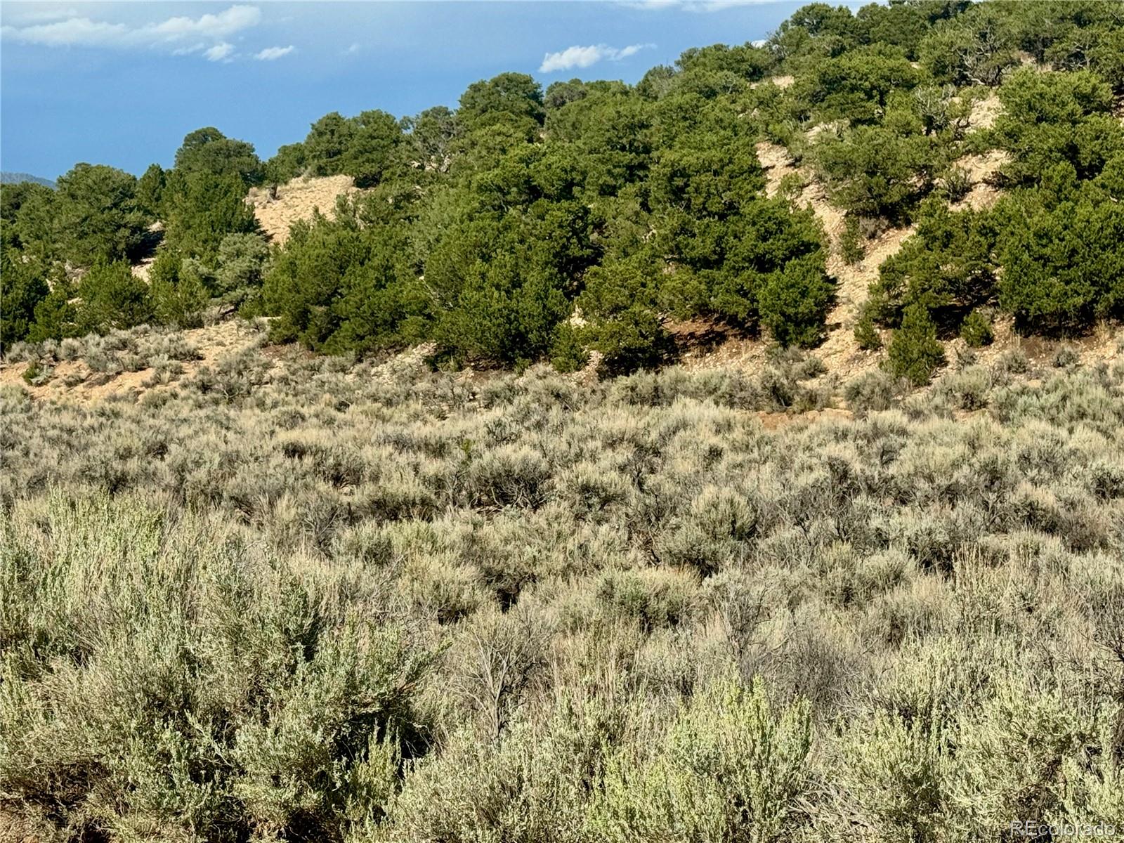 Lot 3817 Fontaine Road Fort Garland CO 81133