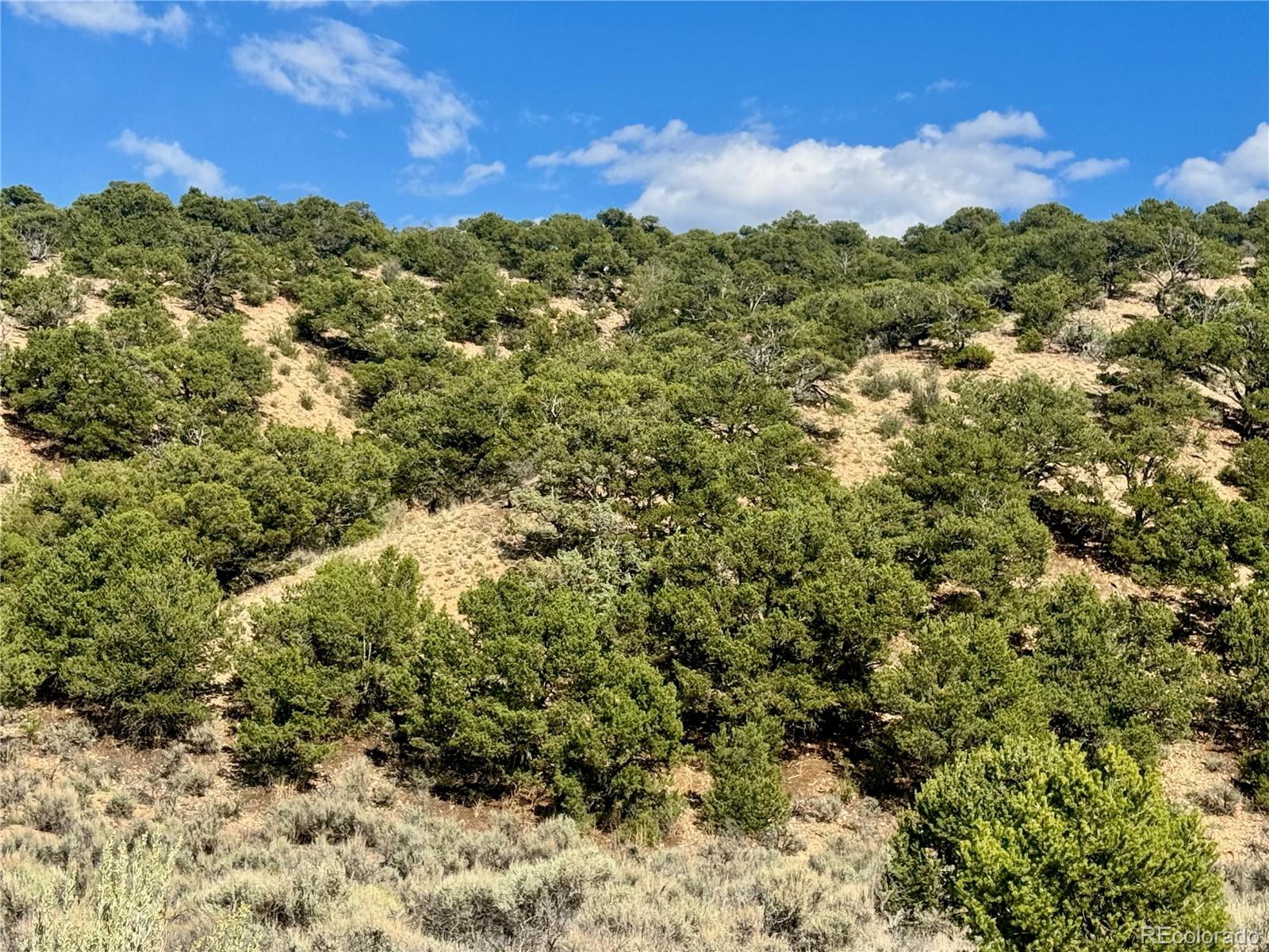 Lot 3817 Fontaine Road Fort Garland CO 81133