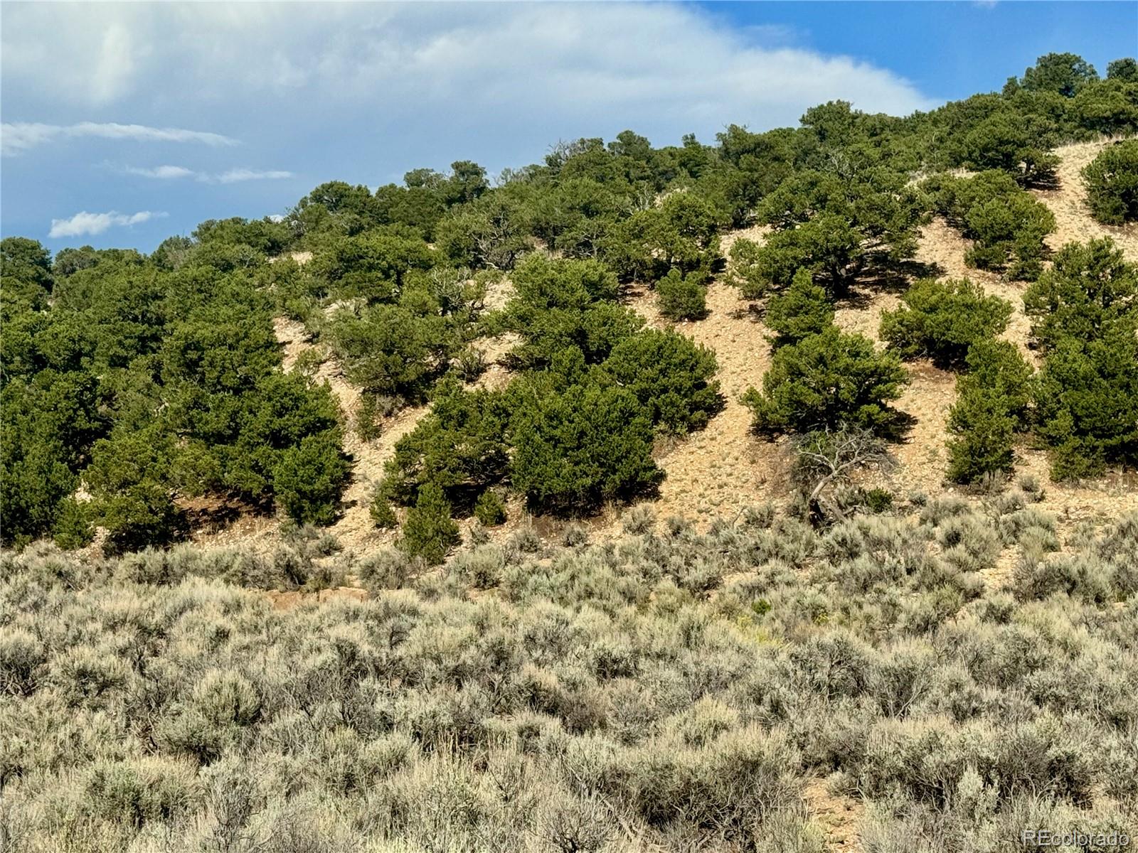 Lot 3817 Fontaine Road Fort Garland CO 81133
