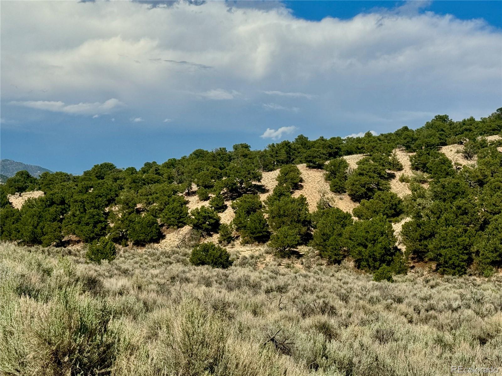 Lot 3817 Fontaine Road Fort Garland CO 81133