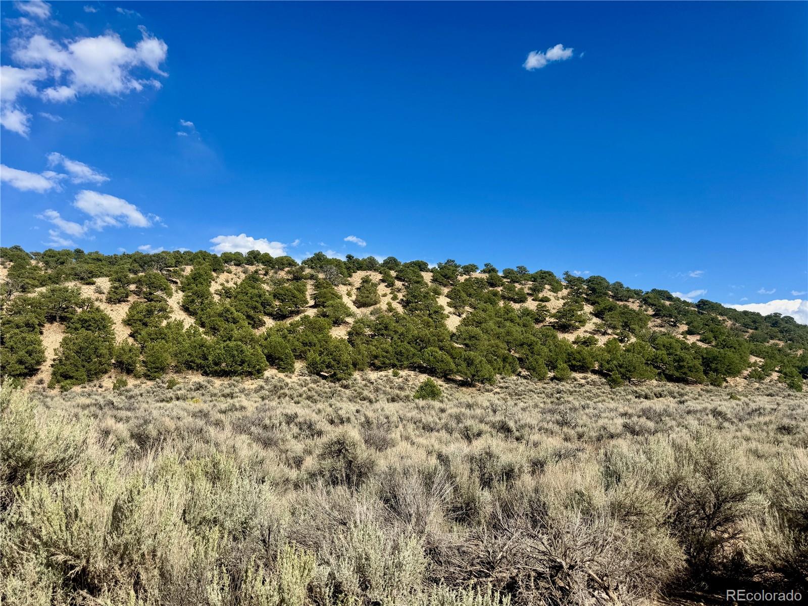 Lot 3817 Fontaine Road Fort Garland CO 81133