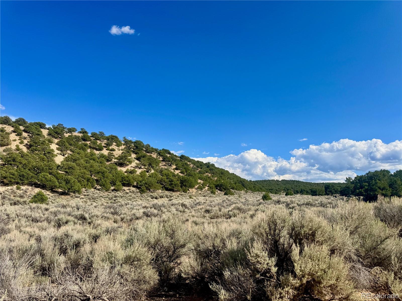 Lot 3817 Fontaine Road Fort Garland CO 81133
