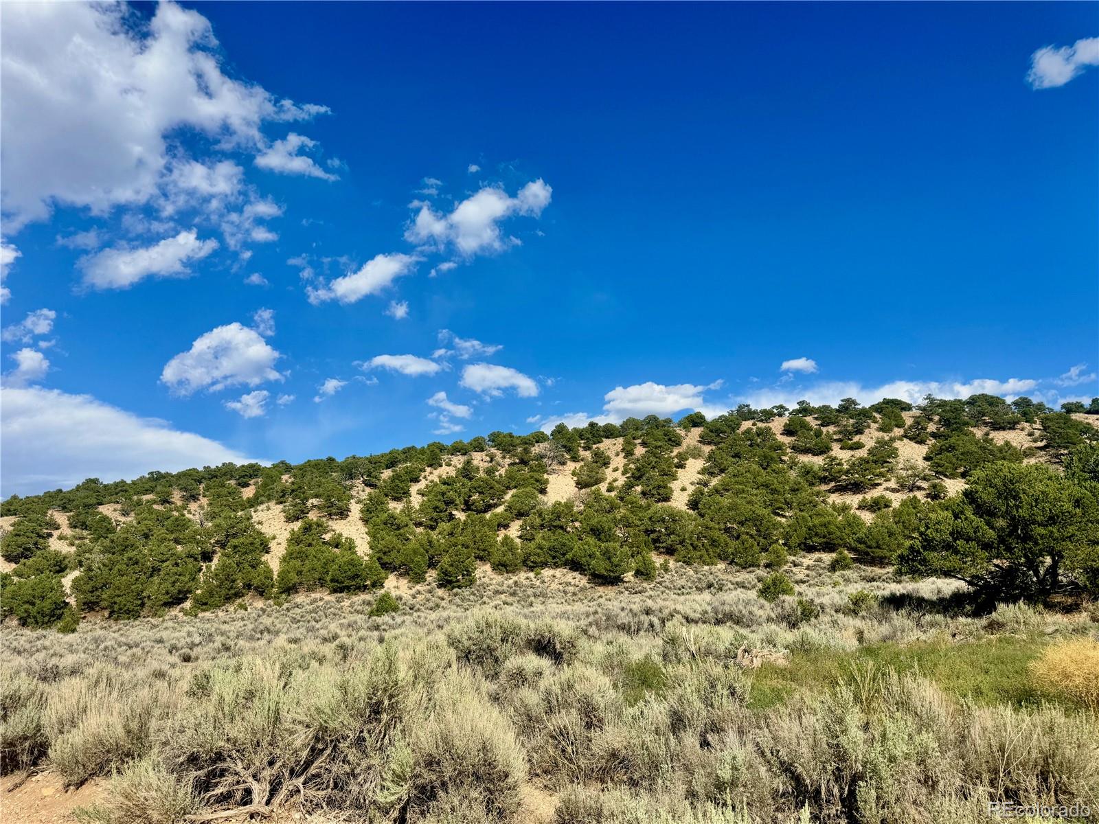 Lot 3817 Fontaine Road Fort Garland CO 81133