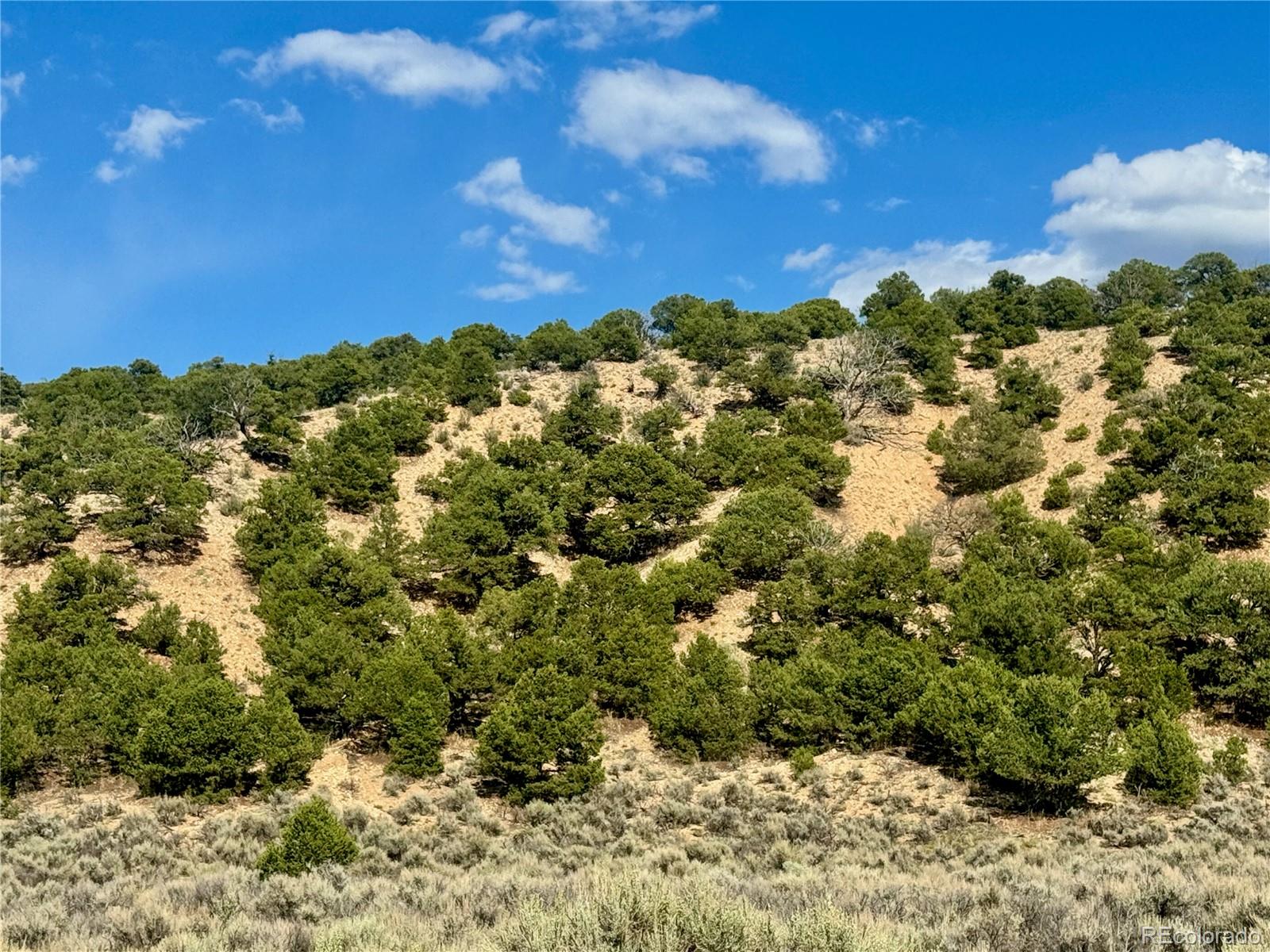 Lot 3817 Fontaine Road Fort Garland CO 81133