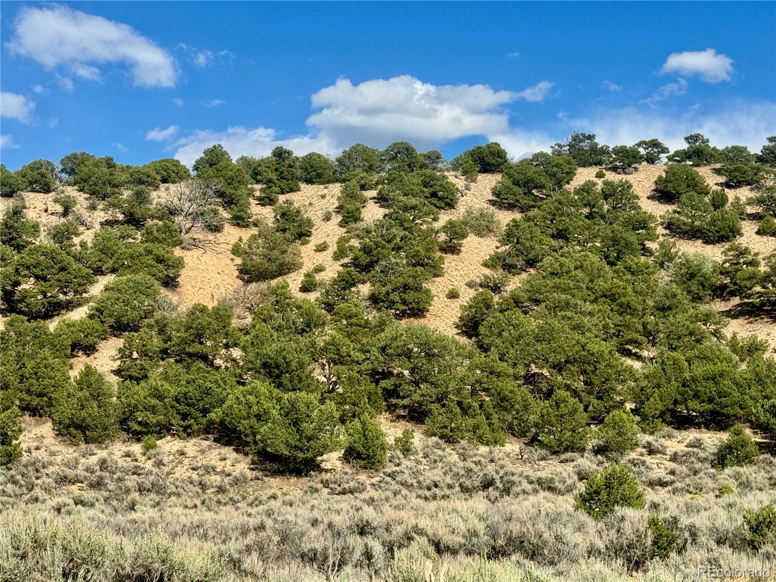 Lot 3817 Fontaine Road Fort Garland CO 81133
