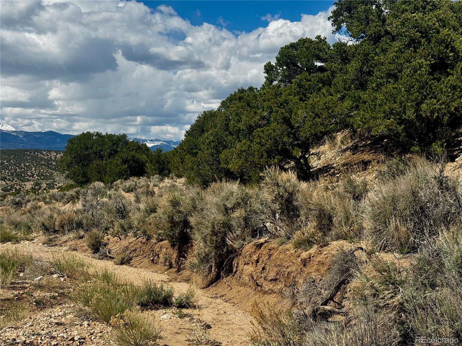 Lot 3817 Fontaine Road Fort Garland CO 81133