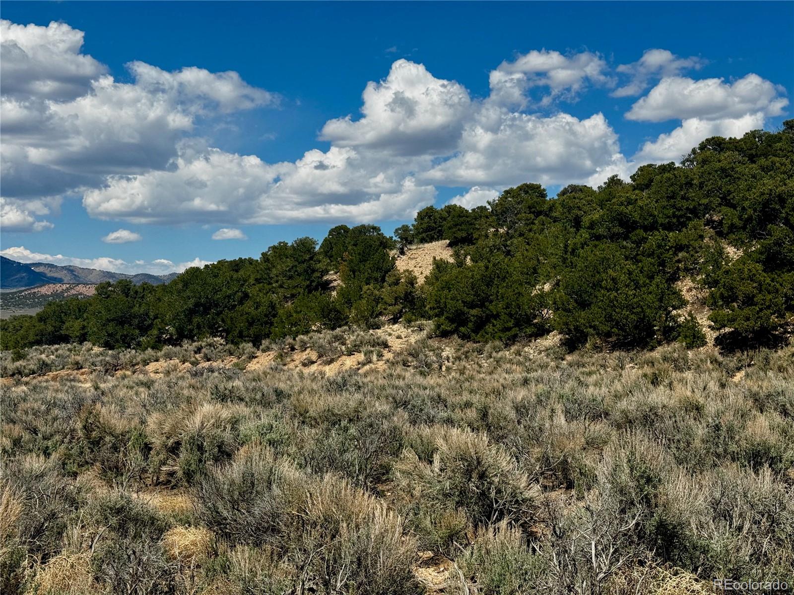 Lot 3817 Fontaine Road Fort Garland CO 81133