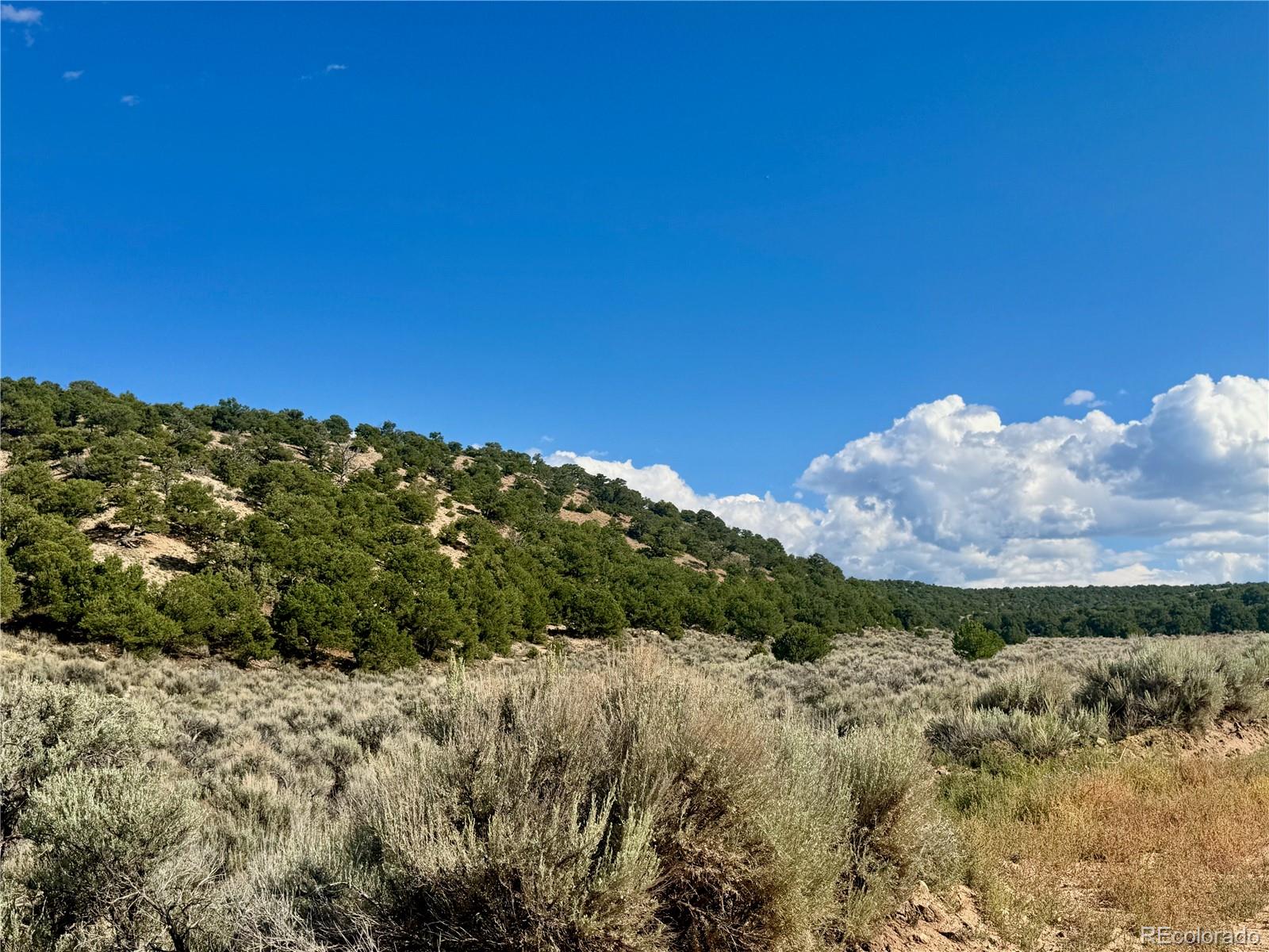 Lot 3817 Fontaine Road Fort Garland CO 81133