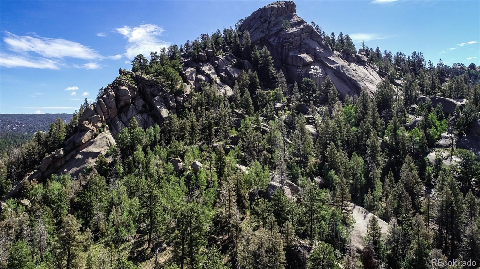 235 Hay Creek Road Florissant CO 80816