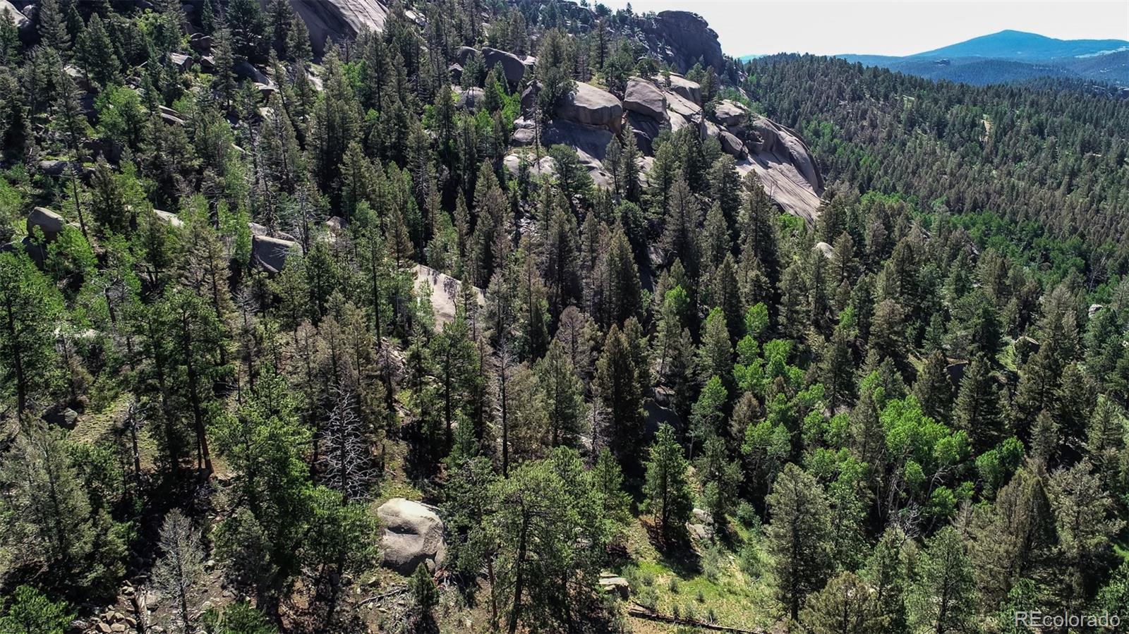 235 Hay Creek Road Florissant CO 80816