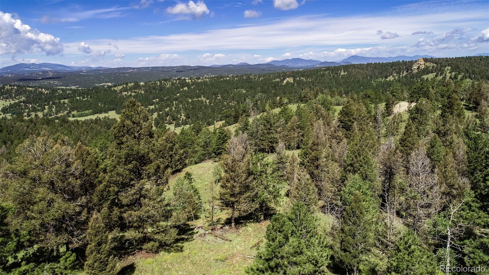 235 Hay Creek Road Florissant CO 80816