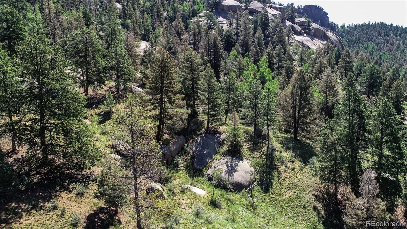 235 Hay Creek Road Florissant CO 80816