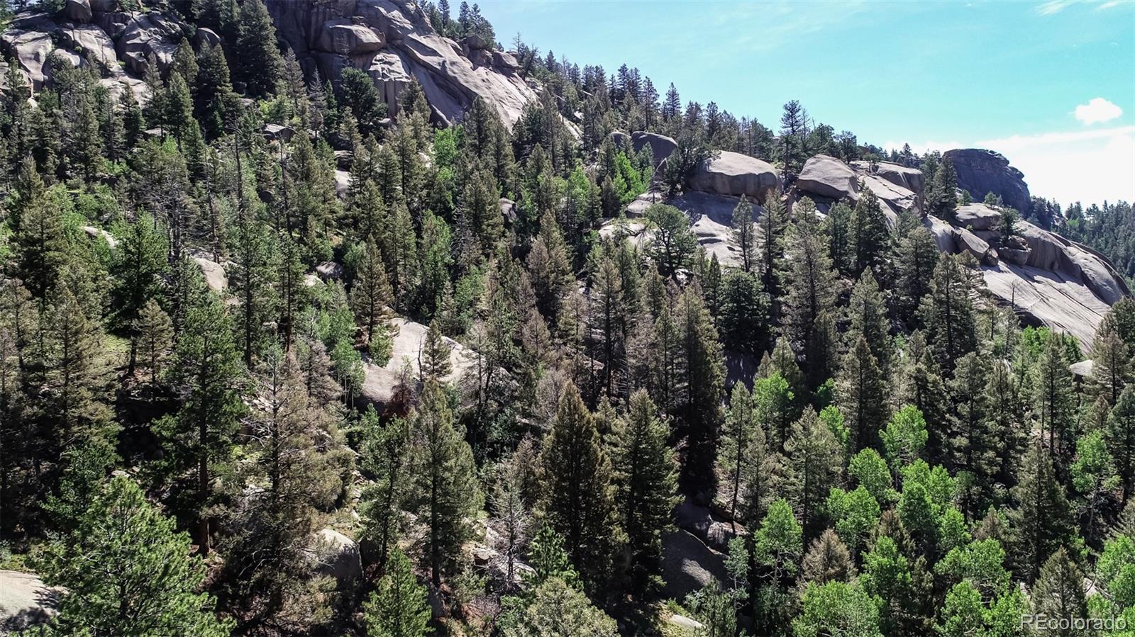 235 Hay Creek Road Florissant CO 80816