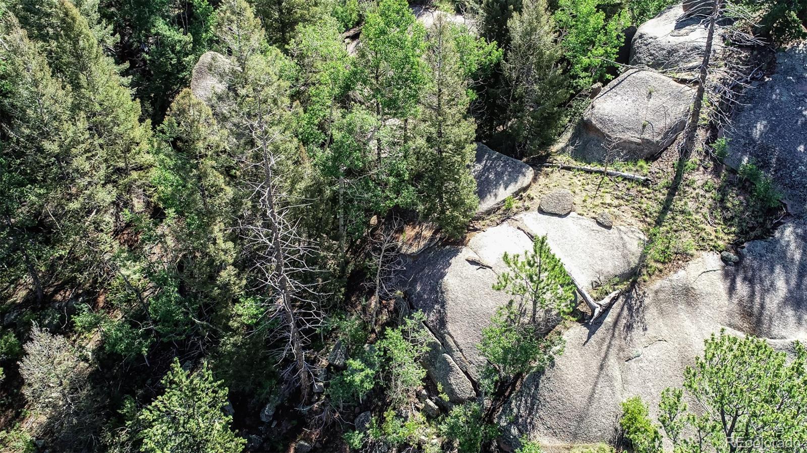 235 Hay Creek Road Florissant CO 80816