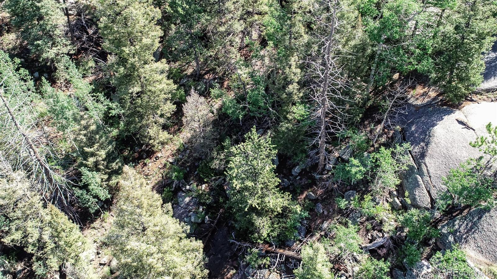 235 Hay Creek Road Florissant CO 80816