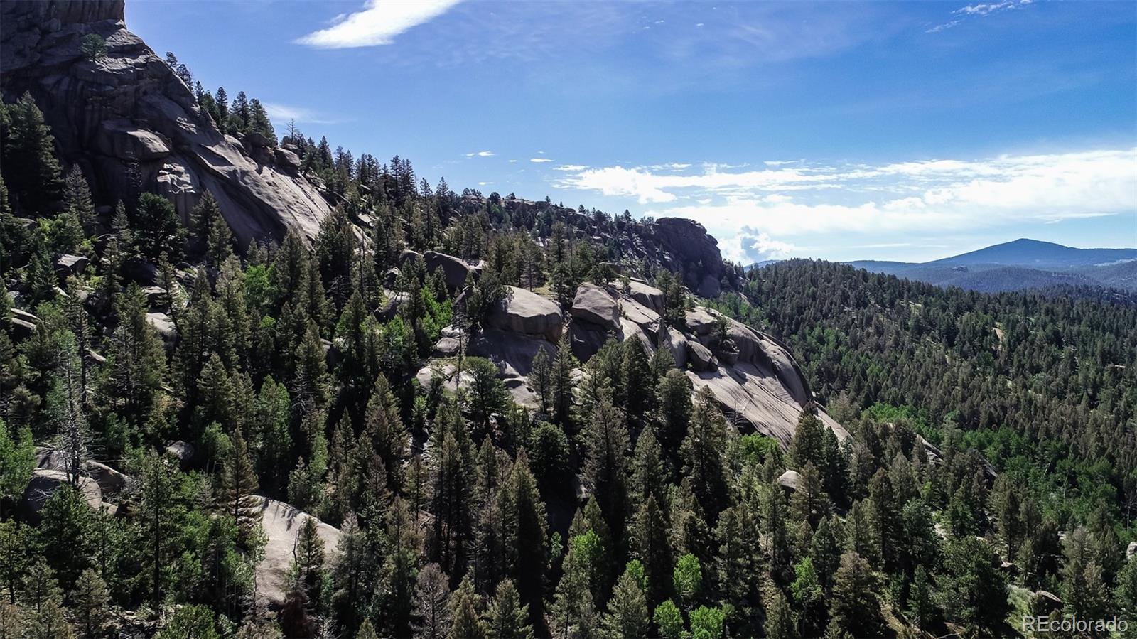 235 Hay Creek Road Florissant CO 80816