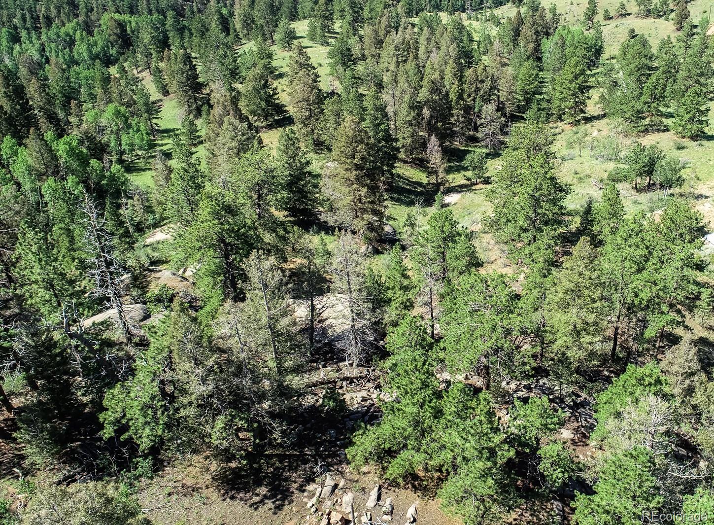 235 Hay Creek Road Florissant CO 80816