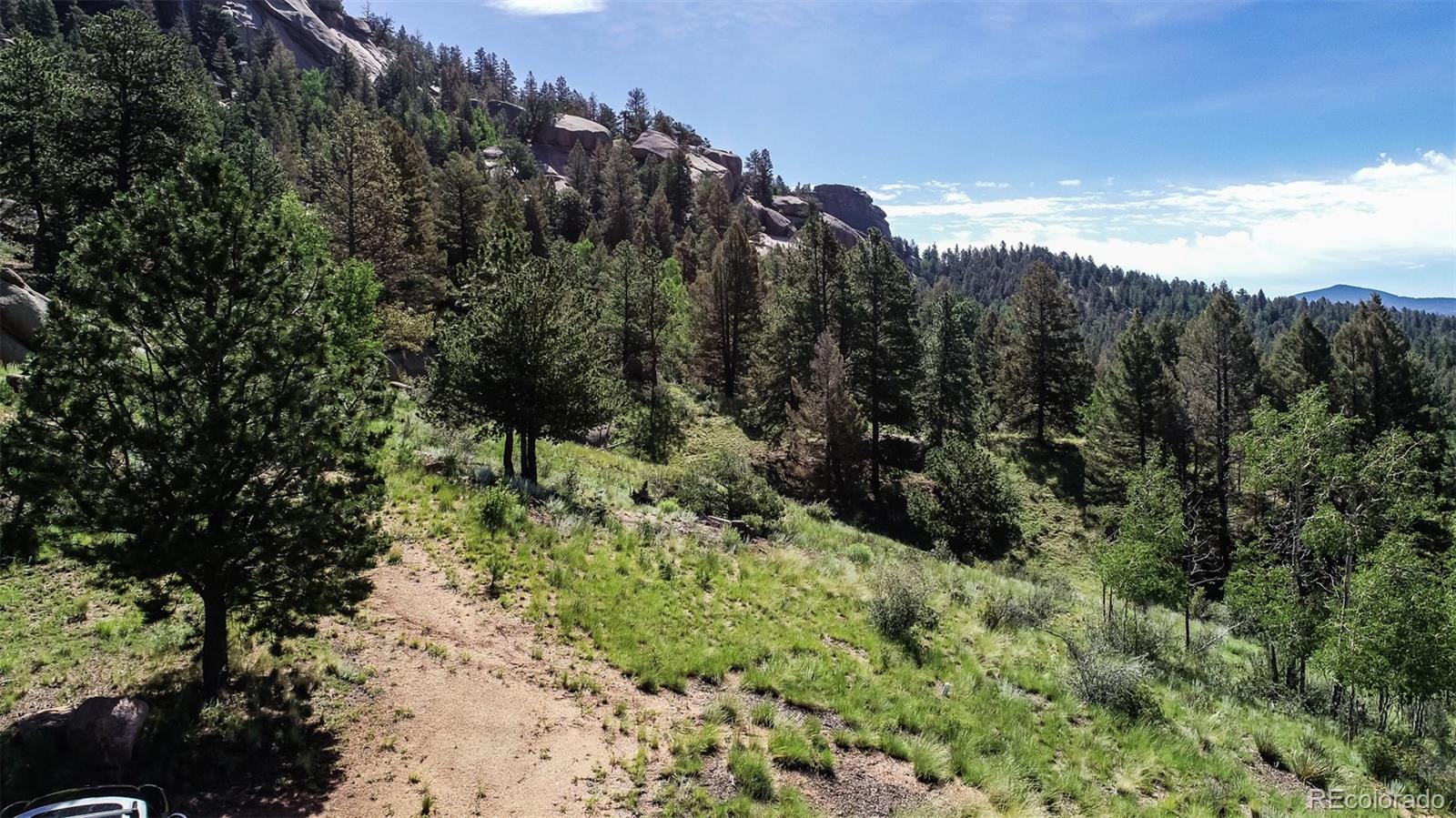 235 Hay Creek Road Florissant CO 80816