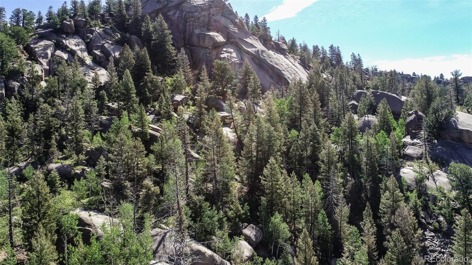 235 Hay Creek Road Florissant CO 80816