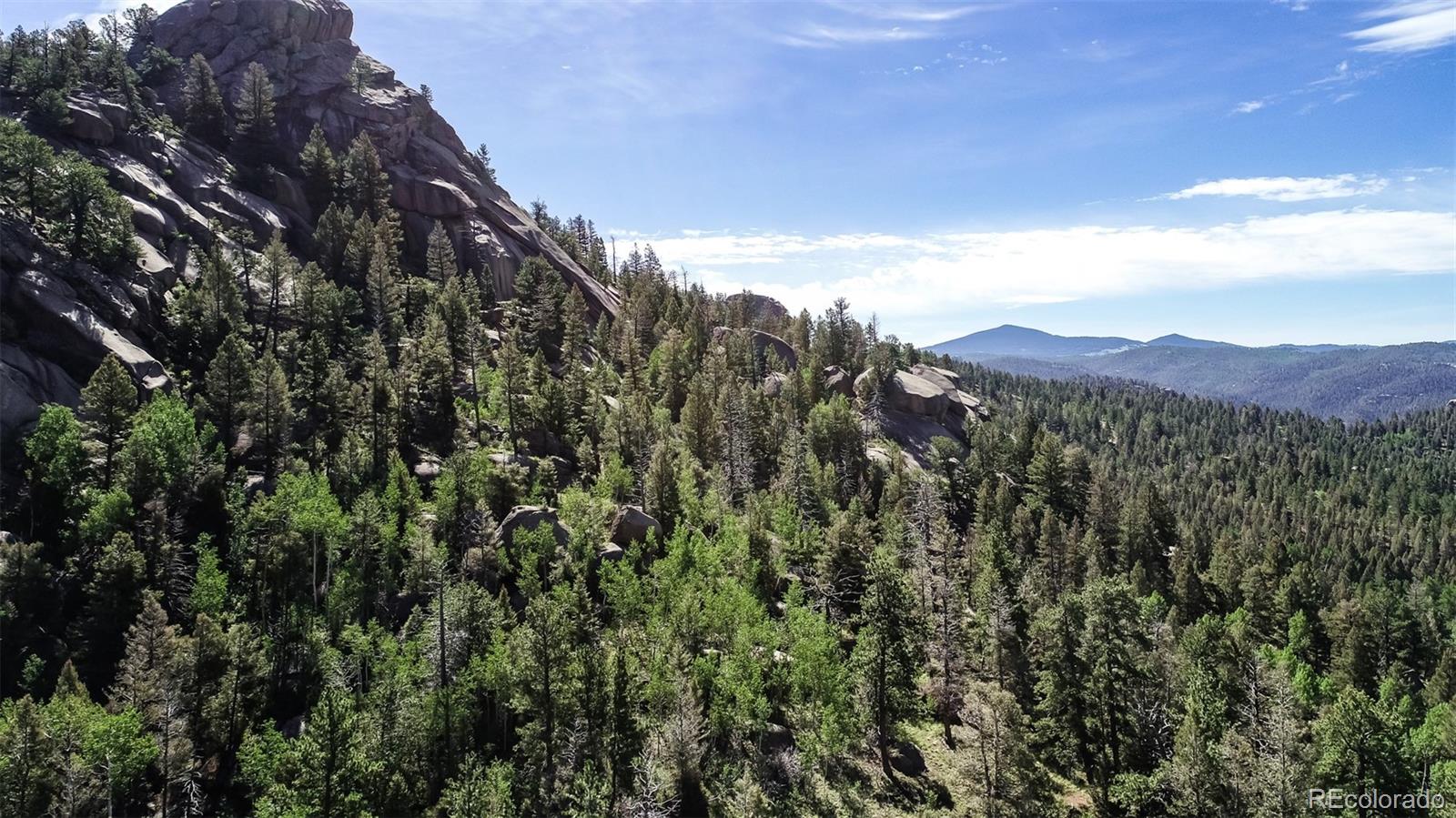235 Hay Creek Road Florissant CO 80816