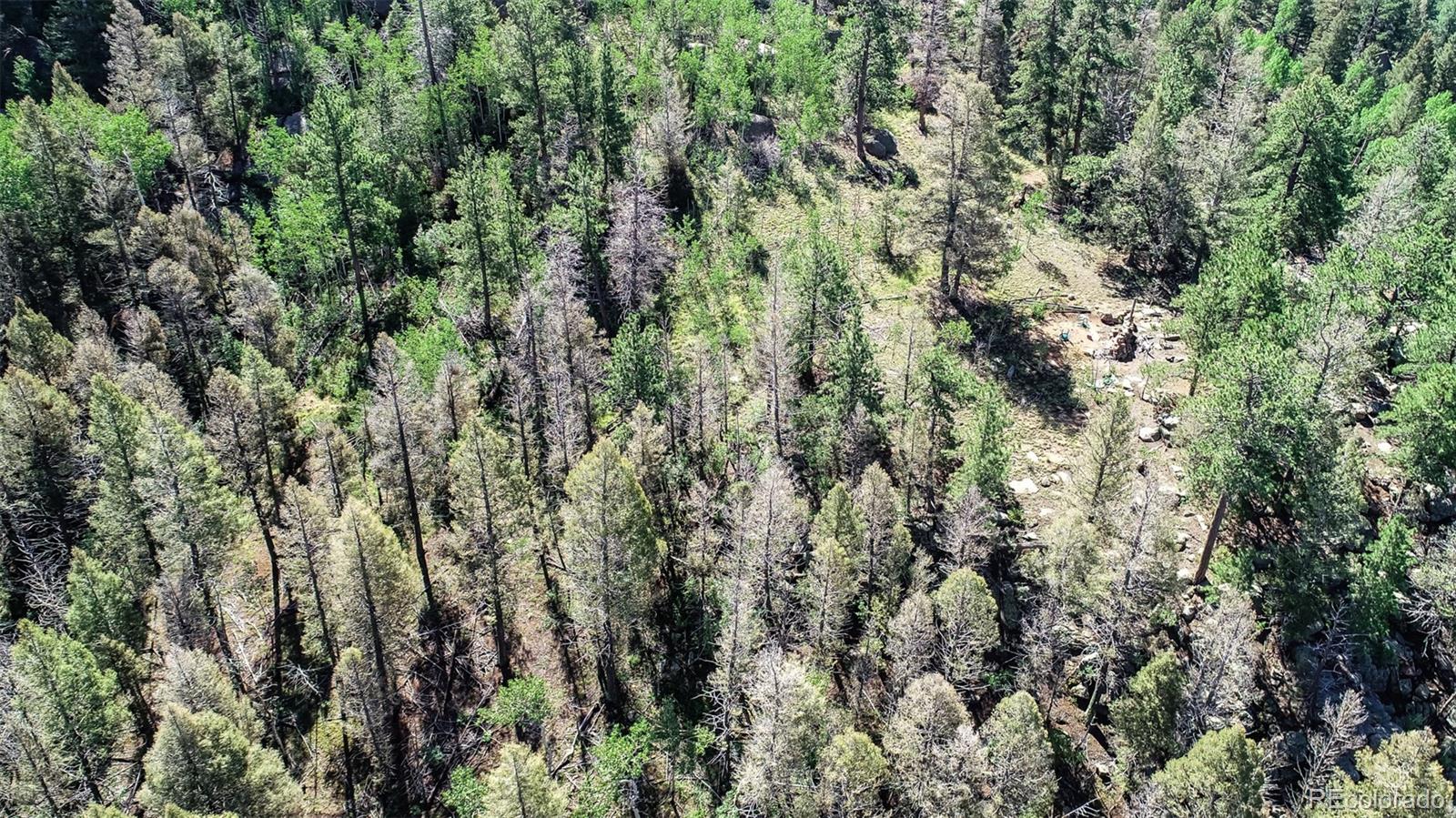 235 Hay Creek Road Florissant CO 80816