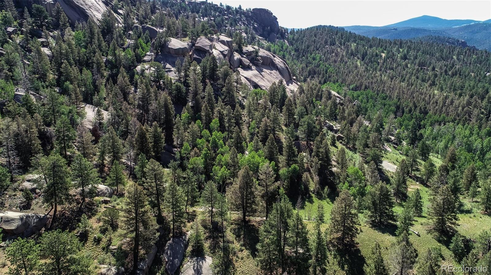 235 Hay Creek Road Florissant CO 80816