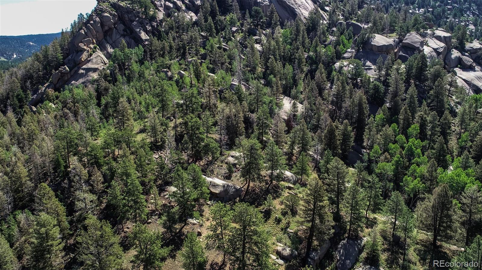 235 Hay Creek Road Florissant CO 80816