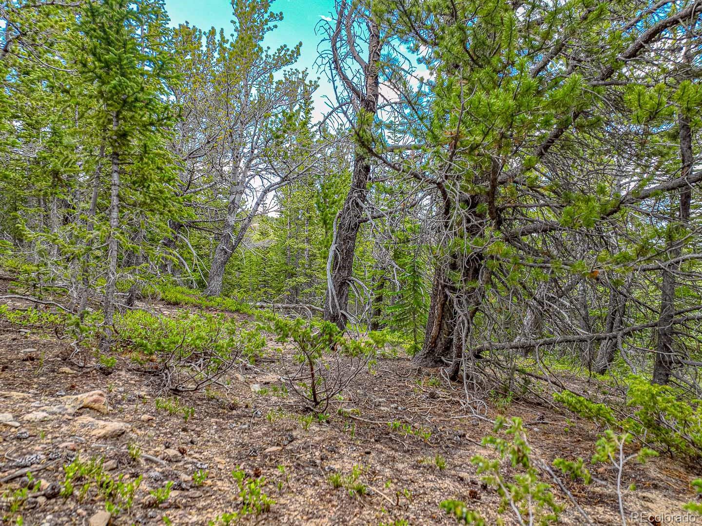 111 Mosquito Creek Road Black Hawk CO 80422