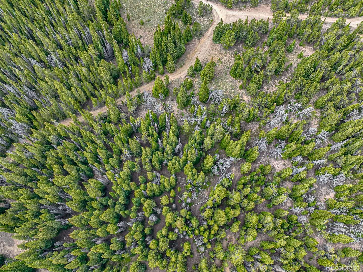 111 Mosquito Creek Road Black Hawk CO 80422