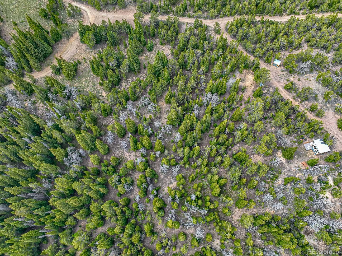 111 Mosquito Creek Road Black Hawk CO 80422