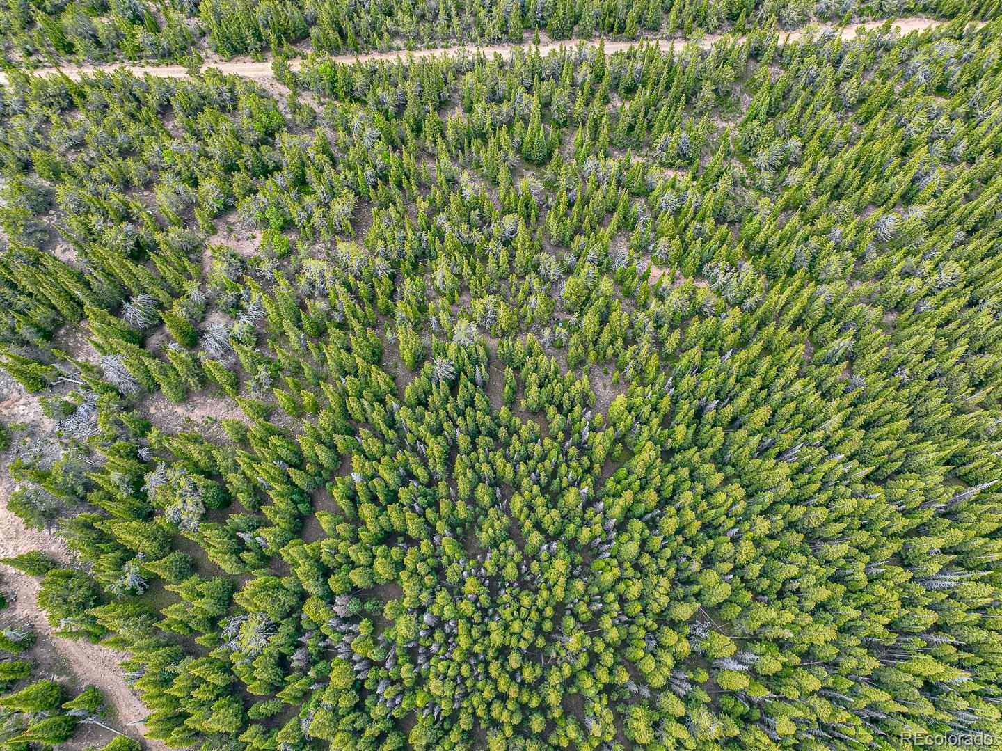 111 Mosquito Creek Road Black Hawk CO 80422