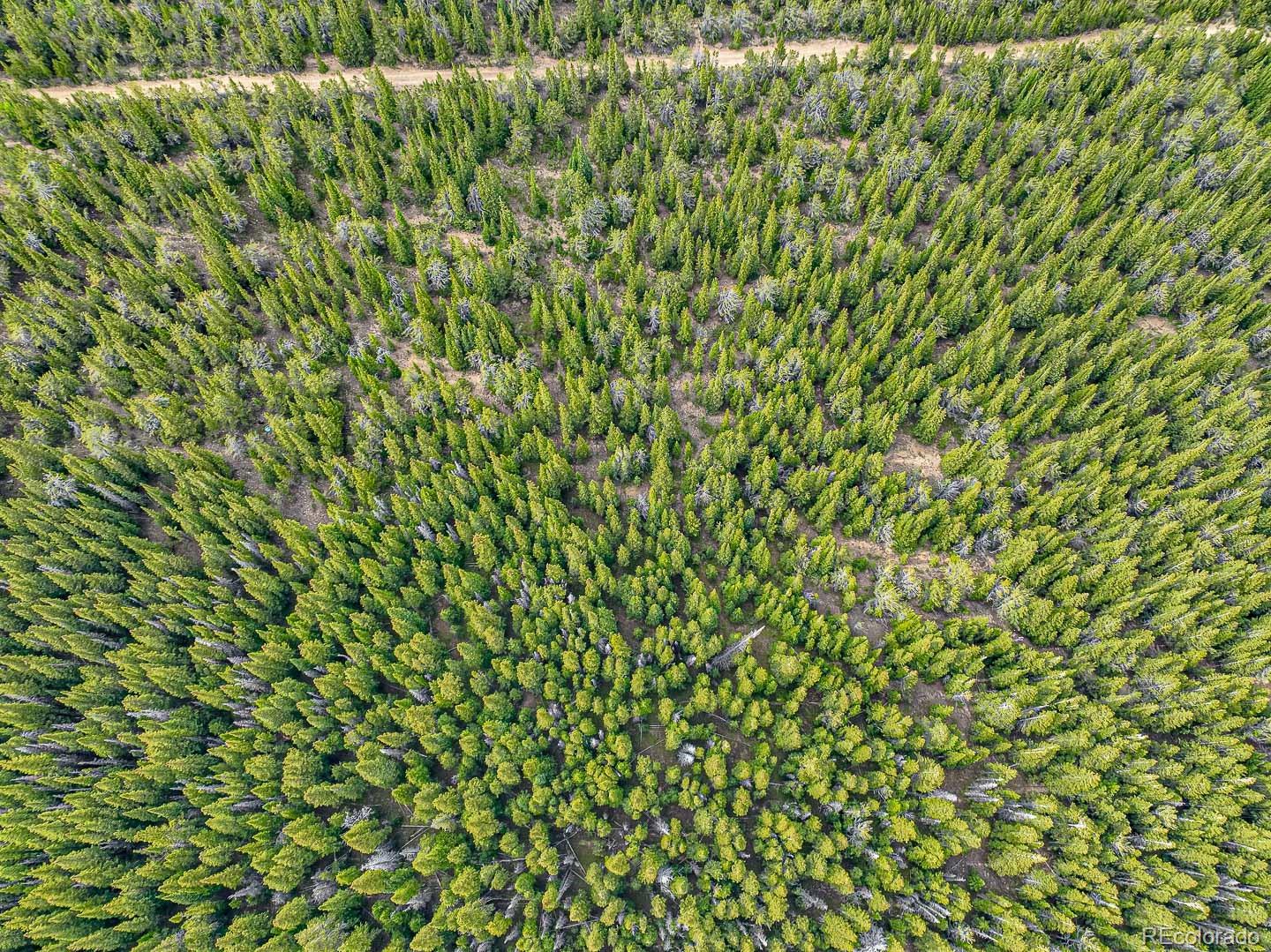111 Mosquito Creek Road Black Hawk CO 80422