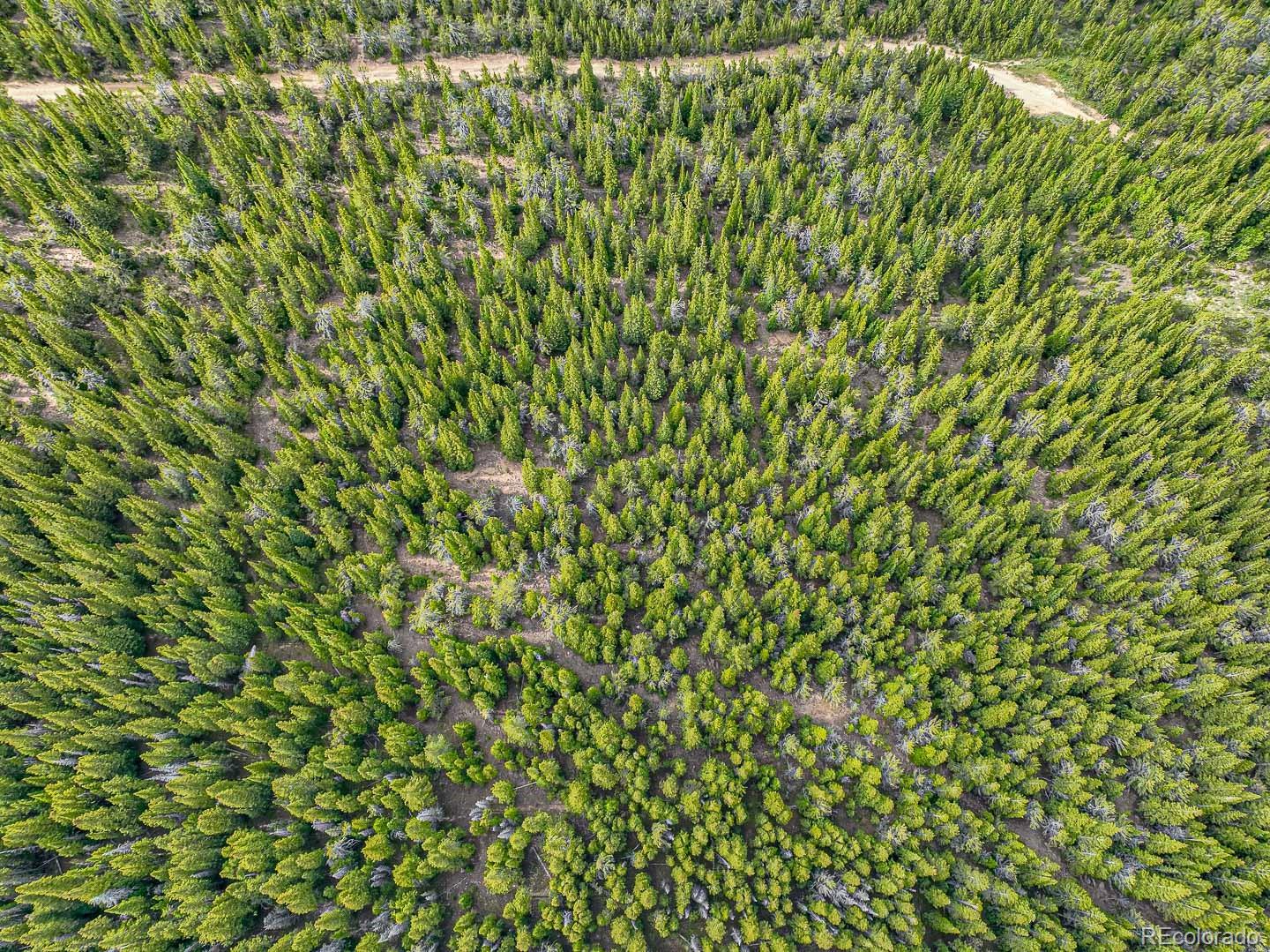 111 Mosquito Creek Road Black Hawk CO 80422