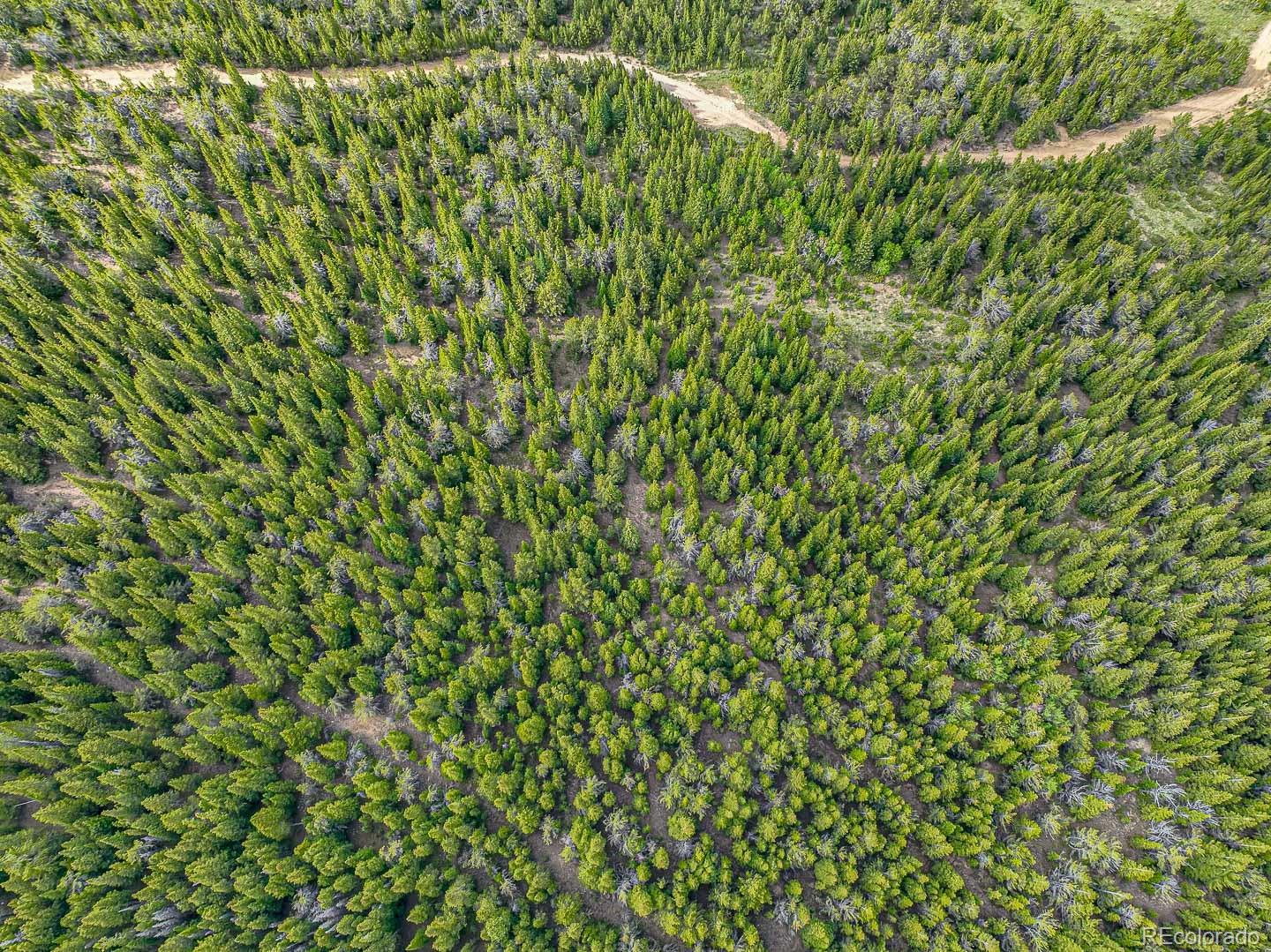 111 Mosquito Creek Road Black Hawk CO 80422