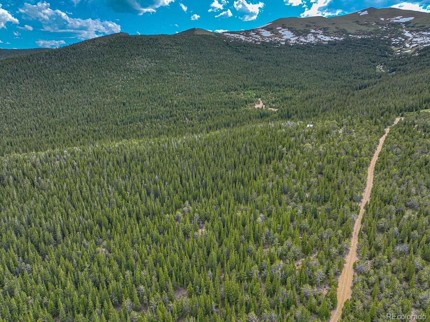 111 Mosquito Creek Road Black Hawk CO 80422