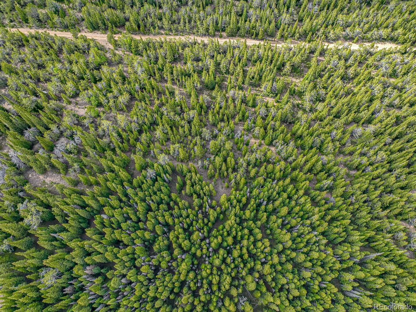 111 Mosquito Creek Road Black Hawk CO 80422