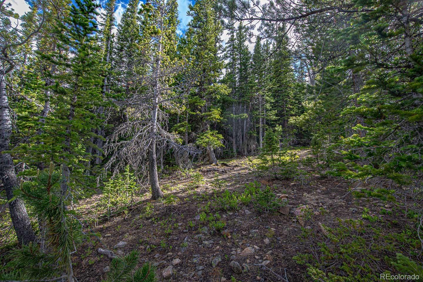 111 Mosquito Creek Road Black Hawk CO 80422