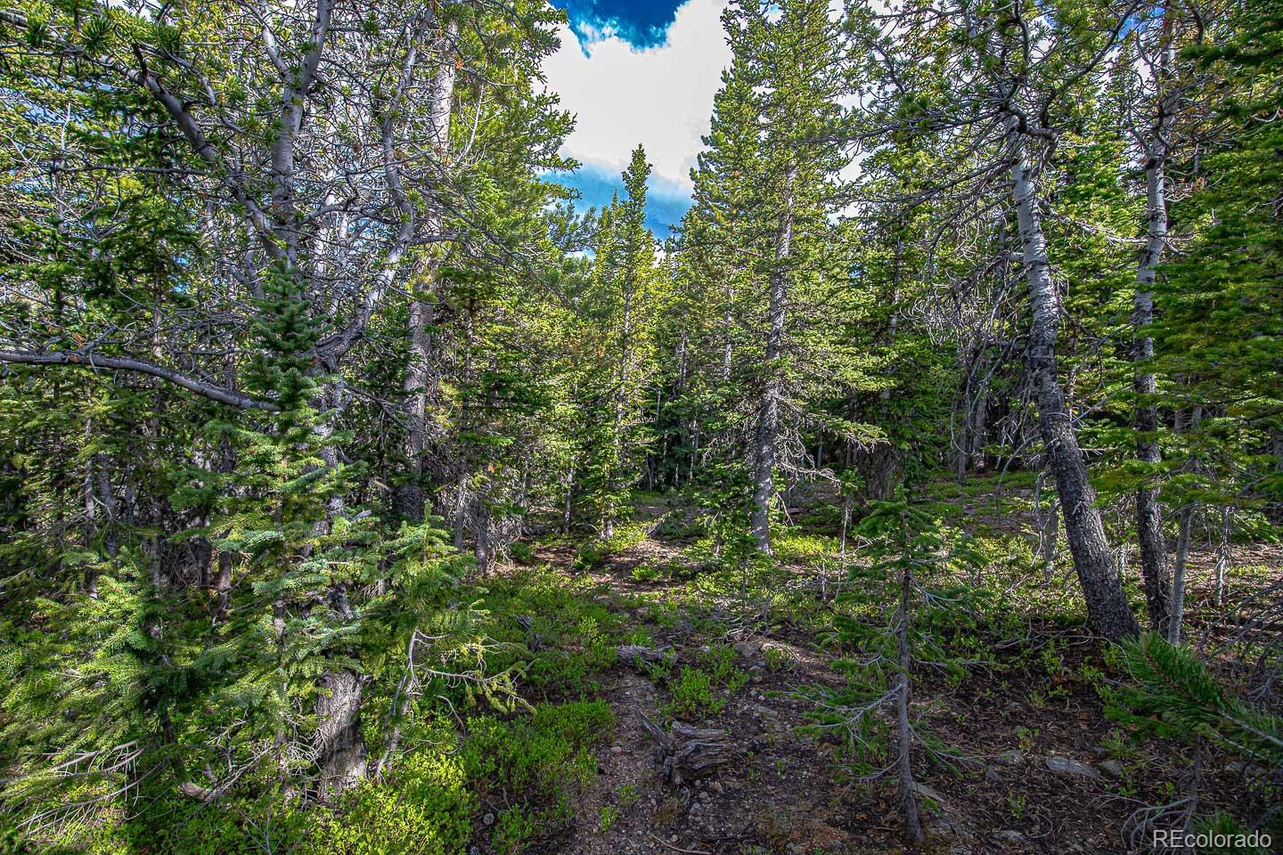 111 Mosquito Creek Road Black Hawk CO 80422
