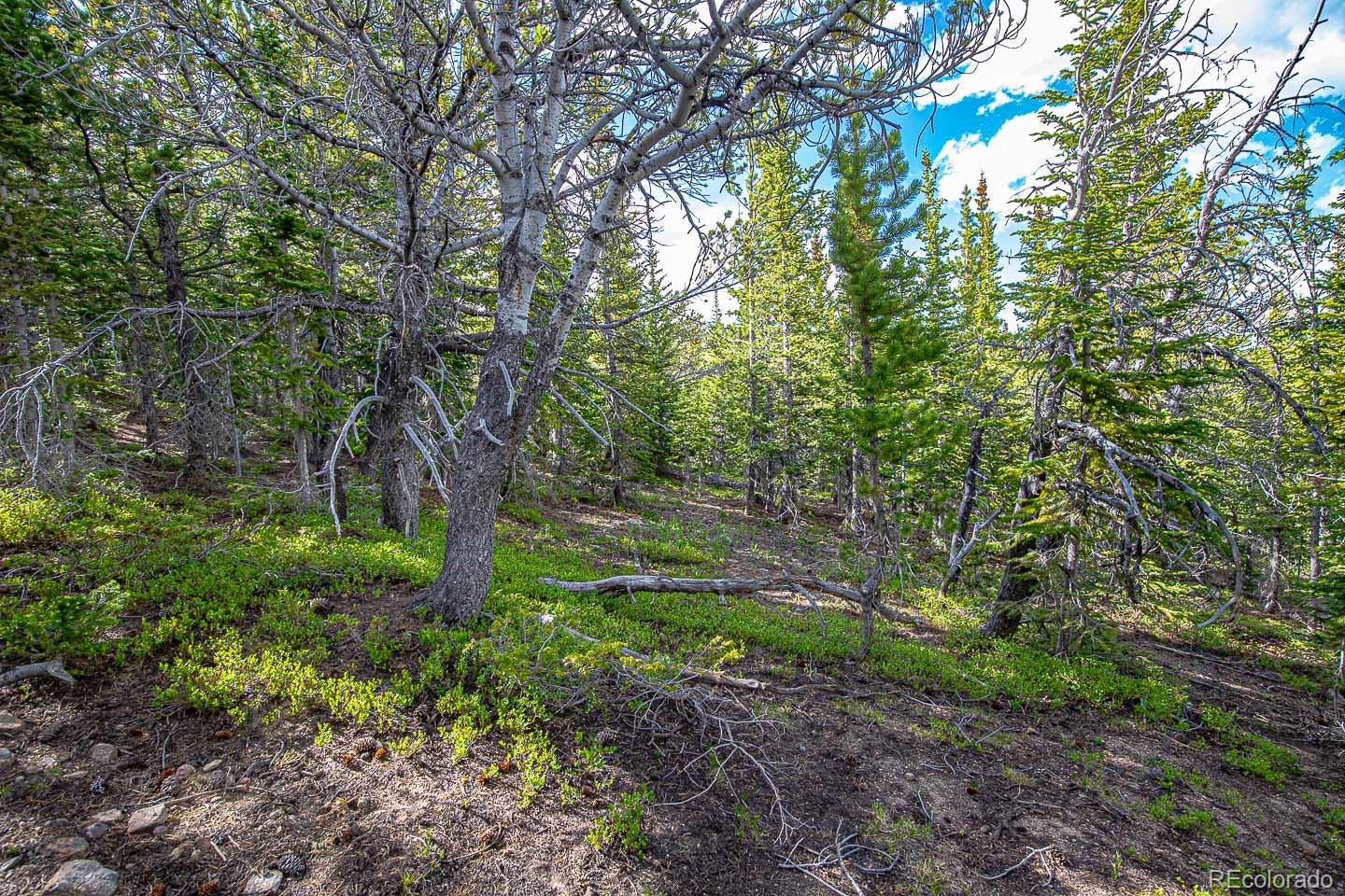 111 Mosquito Creek Road Black Hawk CO 80422